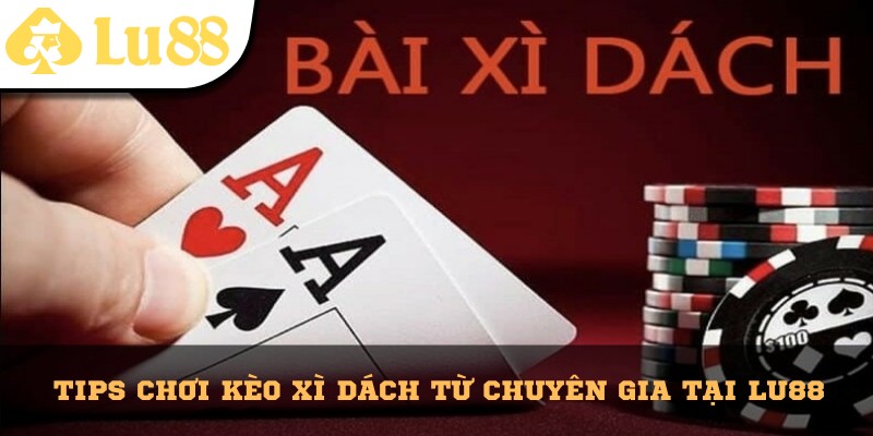 Bật mí một vài mẹo chơi từ những tay chơi kỳ cựu