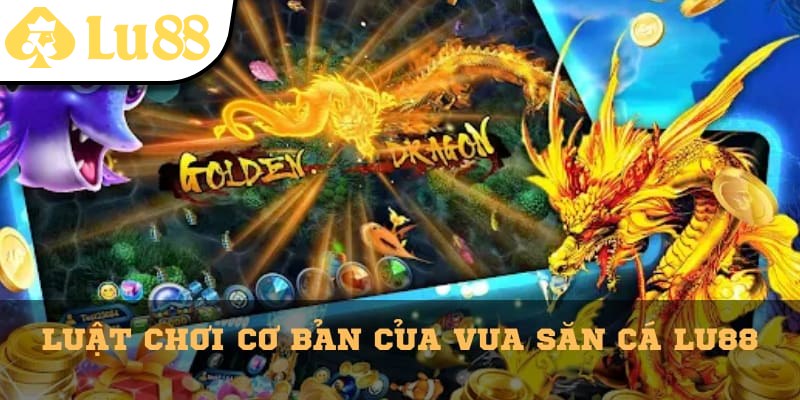 Các luật chơi cơ bản mà ngư thủ cần biết khi chơi Vua Săn Cá