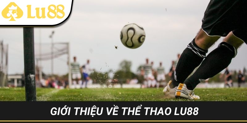 Giải mã sức hút của sảnh thể thao LU88 đem tới 